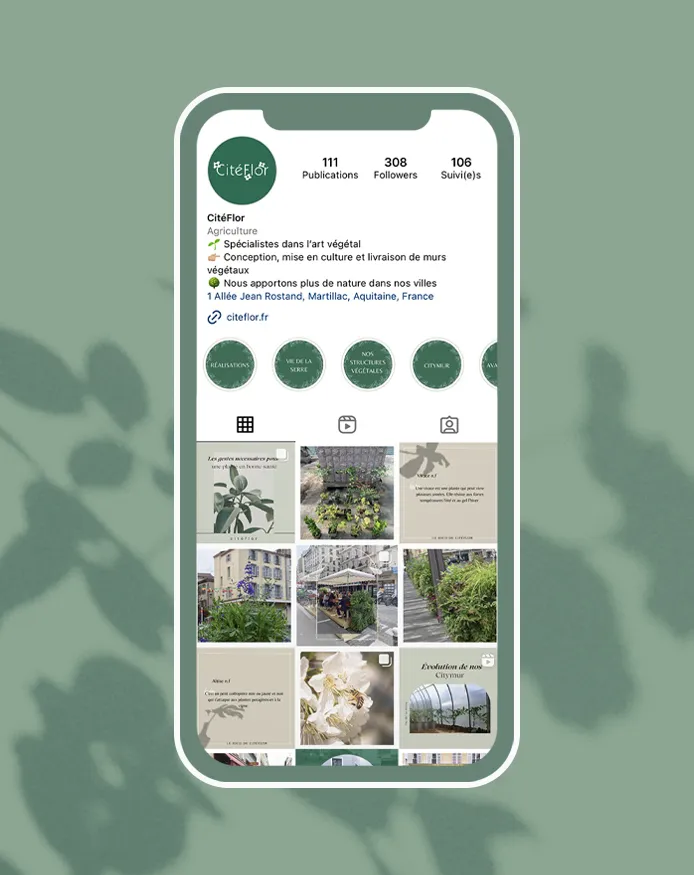 Écran Iphone du feed Instagram de l'entreprise Citéflor sur un fond vert avec une ombre de plante