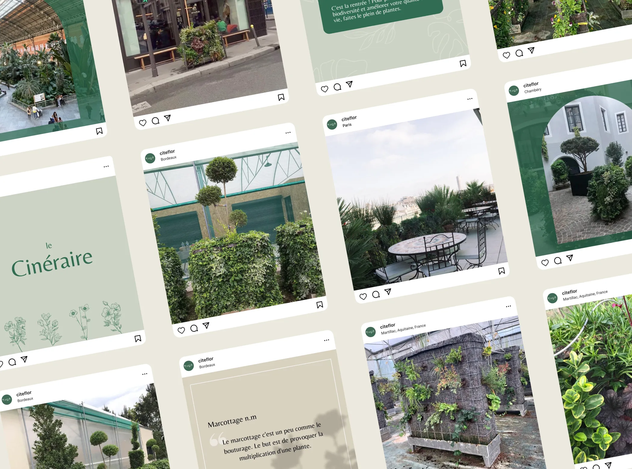 Plusieurs exemples de publications instagram de l'entreprise Citéflor